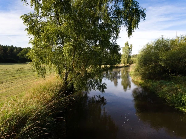 The Örtze in the Südheide Nature Park