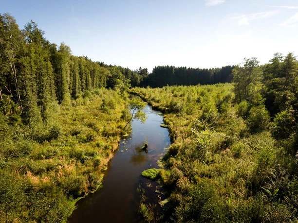 Die Örtze im Naturpark Südheide Die Örtze im Naturpark Südheide