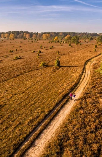 Luftaufnahme vom Tiefental Tiefental, Misselhorner Heide, Hermannsburg
