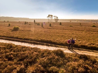 Das Tiefental im Herbst Tiefental, Misselhorner Heide, Hermannsburg