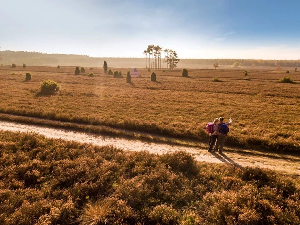 Das Tiefental im Herbst Tiefental, Misselhorner Heide, Hermannsburg