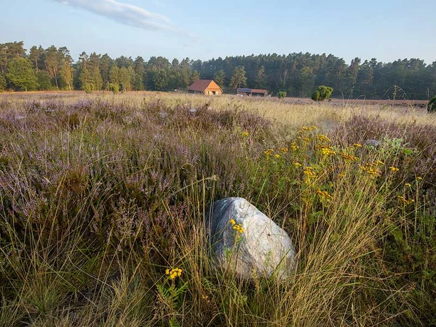 Amelinghausen: Kronsbergheide Die Kronsbergheide bei Amelinghausen