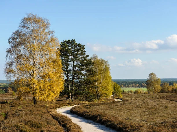 Ausblick vom Wietzer Berg Ausblick vom Wietzer Berg Müden (Örtze) am Heidschnuckenweg