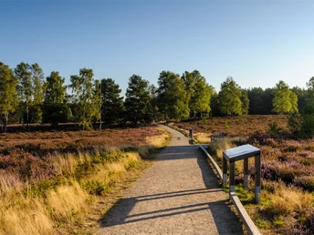 Rundwanderweg Angelbecksteich Rundwanderweg Angelbecksteich, Hermannsburg barrierefrei Wandern Heidschnuckenweg