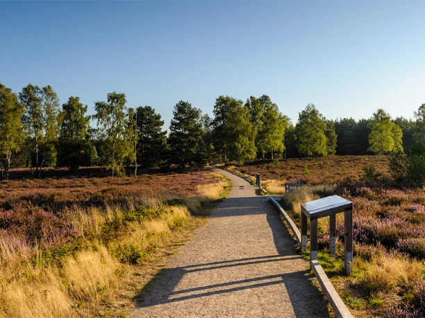 Rundwanderweg Angelbecksteich Rundwanderweg Angelbecksteich, Hermannsburg barrierefrei Wandern Heidschnuckenweg