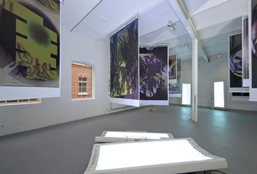 Das Institut, 2011 Blacky Blowed Radiants Sunbathed