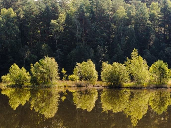 Kieselgur-Teich bei Oberohe Oberoher Heide bei Müden, Niederoher Heide, Spiegel Kieselgur Heidschnuckenweg Wanderweg