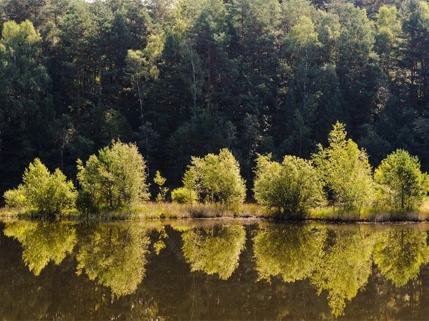Kieselgur-Teich bei Oberohe Oberoher Heide bei Müden, Niederoher Heide, Spiegel Kieselgur Heidschnuckenweg Wanderweg