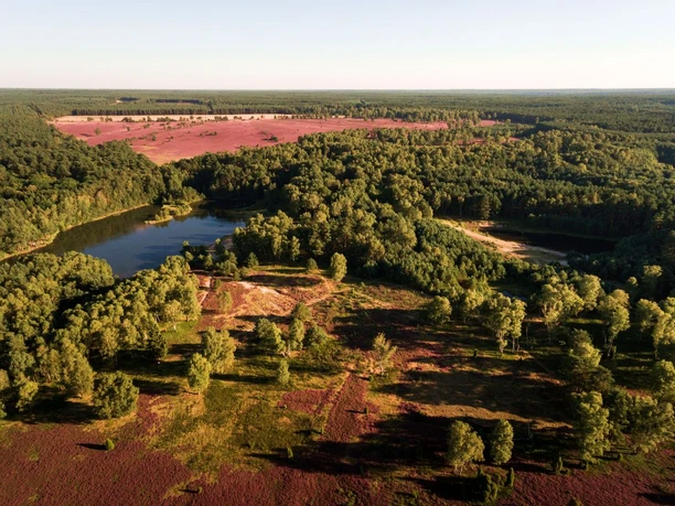 Die Oberoher Heide mit dem Kieselgurteich aus der Luft Luftbild der oberoher heide mit kieselgur teich