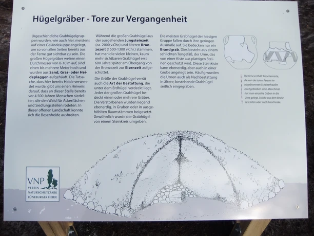 Infotafel in der Hügelgräberheide