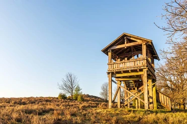 Fürstengrab Fuerstengrab Lueneburger Heide