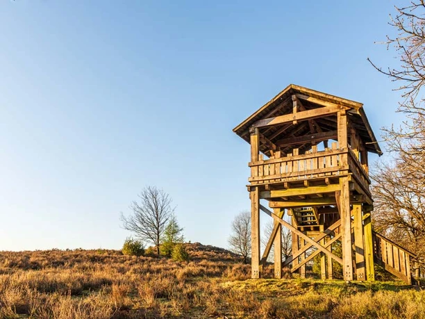 Fürstengrab Fuerstengrab Lueneburger Heide