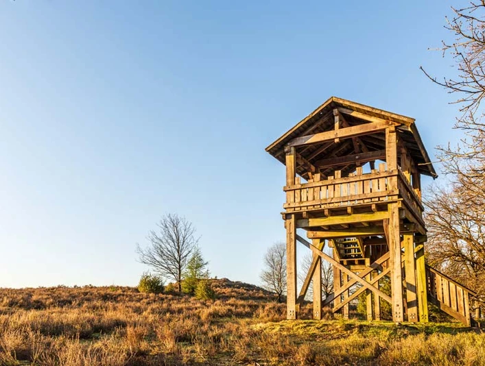 Fürstengrab Fuerstengrab Lueneburger Heide