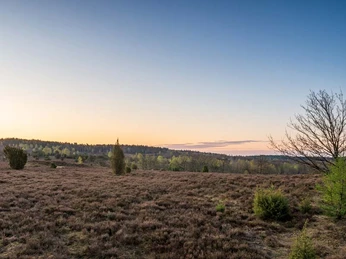 Fürstengrab Fürstengrab Naturschutzgebiet Lüneburger Heide