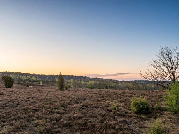 Fürstengrab Fürstengrab Naturschutzgebiet Lüneburger Heide
