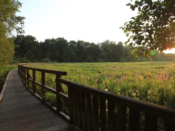 Brücke im Örtzetal, ©LotharvonAlm