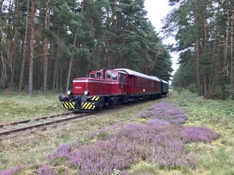 Lok 230 41 mit Wagenzug auf der Bleckeder Kleinbahn Heide-Express Diesellokomotive mit Wagenzug auf der Bleckeder Kleinbahn