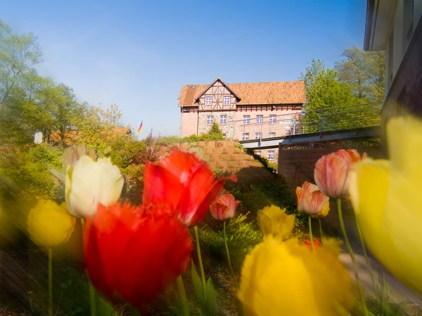 Blumenmeer Wassermühle Heiligenthal Wassermühle Heiligenthal
