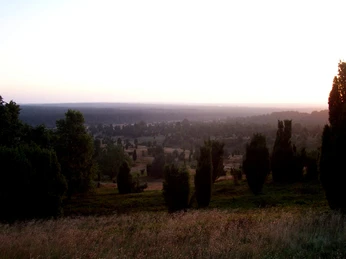 Morgenstimmung in der Heide an der Ferienwohnung Haus Heckenrose Heidefläche an der Ferienwohnung Haus Heckenrose in Undeloh