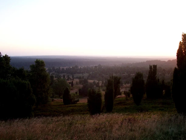Morgenstimmung in der Heide an der Ferienwohnung Haus Heckenrose Heidefläche an der Ferienwohnung Haus Heckenrose in Undeloh