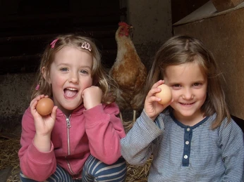 Reiter- und Ferienhof Cohrs Bei den Hühnern Kinder bei den Hühnern auf dem Reiter- und Ferienhof Cohrs in BispingenChildren with the chickens at the Cohrs riding and vacation farm in BispingenBørn med hønsene på Cohrs ride- og feriegård i BispingenKinderen met de kippen op de manege en vakantieboerderij Cohrs in Bispingen