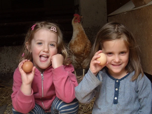 Reiter- und Ferienhof Cohrs Bei den Hühnern Children with the chickens at the Cohrs riding and vacation farm in Bispingen
