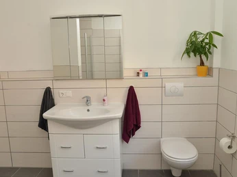 Badezimmer in der Wohnung 1 Appartements am Rosengarten Badezimmer in der Wohnung 1 Appartements am Rosengarten