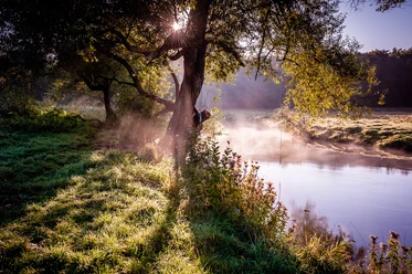 Morgenstimmung an der Ilmenau