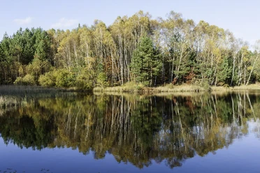 Kieselgur-Teich bei Oberohe Herbststimmung über dem Kieselgurteich