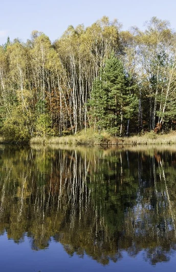 Kieselgur-Teich bei Oberohe Herbststimmung über dem Kieselgurteich