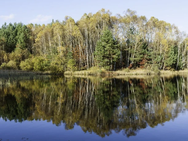 Kieselgur-Teich bei Oberohe Herbststimmung über dem Kieselgurteich