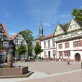 Historisches Rathaus von Blomberg mit Fachwerkfassaden und einem Brunnen im belebten Stadtzentrum.