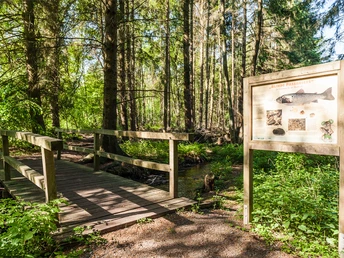 Infoschild am Fluß-Wald-Erlebnispfad Fluß-Wald Erlebnispfad auf dem Heidschnuckenweg Müden (Örtze)