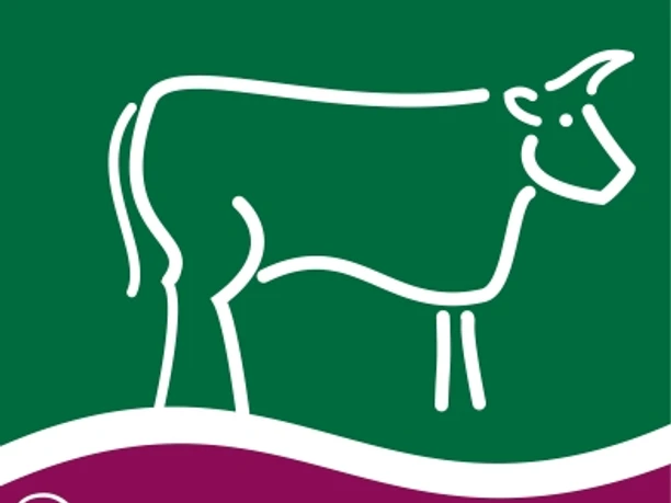 Piktogramm zum Wandergebiet "Kühe in Halbtrauer"