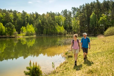 Kieselgurteich in der Oberoher Heide Wandern Lüneburger Heide Heidschnuckenweg Oberoher Heide