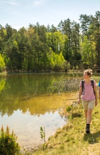 Kieselgurteich in der Oberoher Heide Wandern Lüneburger Heide Heidschnuckenweg Oberoher Heide