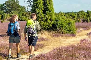 Wandern in der Lüneburger Heide Wandern in der Lüneburger Heide