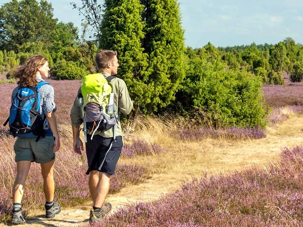 Wandern in der Lüneburger Heide Wandern in der Lüneburger Heide