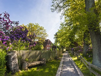Heidedorf Müden (Örtze) auf der Etappe 8 auf dem Heidschnuckenweg Heidschnuckenweg in der Lüneburger Heide wandern