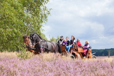 Mit der Kutsche durch die Heide