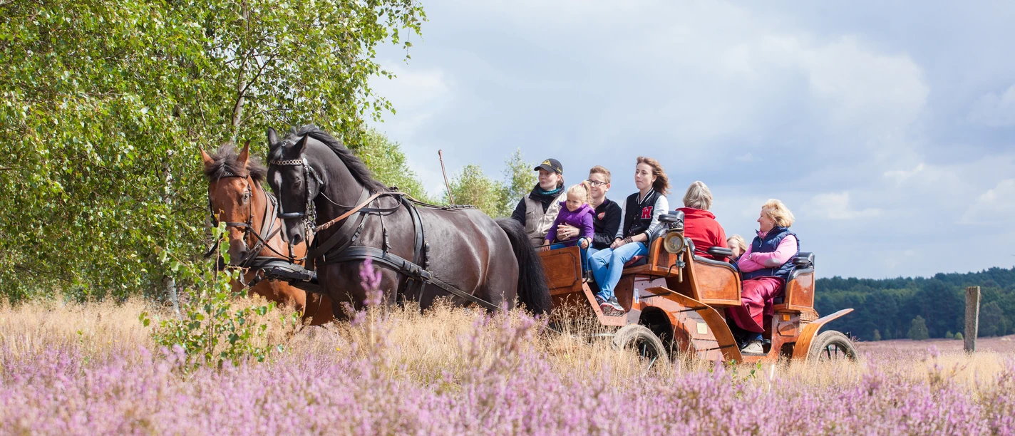 Mit der Kutsche durch die Heide