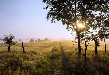 Im Heidegebiet Suhorn bei Niederhaverbeck in der Lüneburger Heide