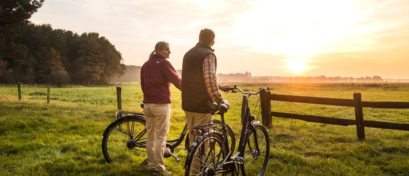 Sonnenuntergang am Aller-Radweg bei Wietze Sunset at the Hornbosteler Hutweide on the Aller cycle path near Wietze