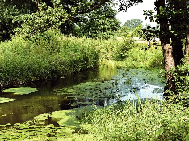 Natur Wanderweg 2 - Die Natur im Flotwedel