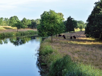 Die Aller W2-Die Aller bei Wienhausen
