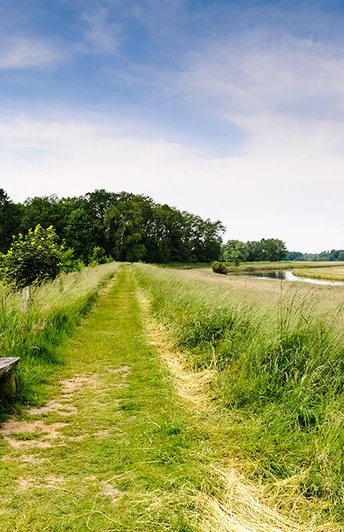 Allerdeich W2-Der Allerdeich bei Wienhausen