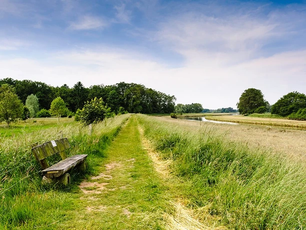Allerdeich W2-Der Allerdeich bei Wienhausen