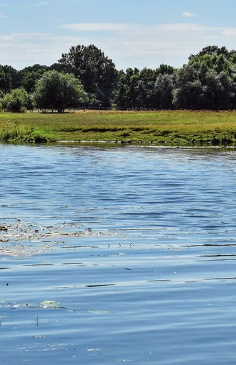 W3-Die Aller W3-Die Aller bei Wienhausen