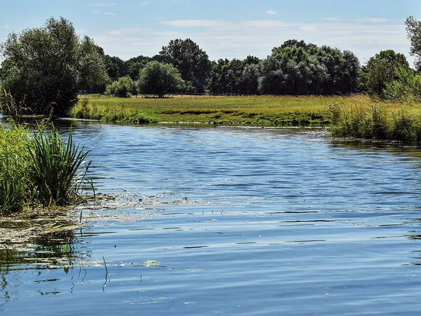 W3-Die Aller W3-Die Aller bei Wienhausen