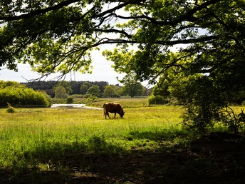 W4 an der Osterloher Wehranlage